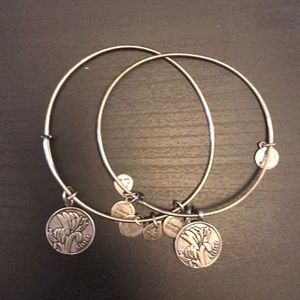 Two Alex and Ani Sister Bracelets